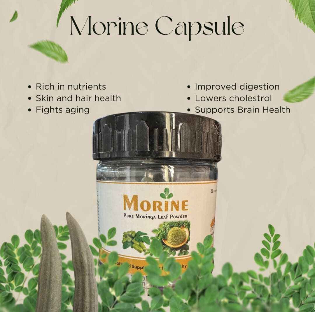 Morine Capsule
